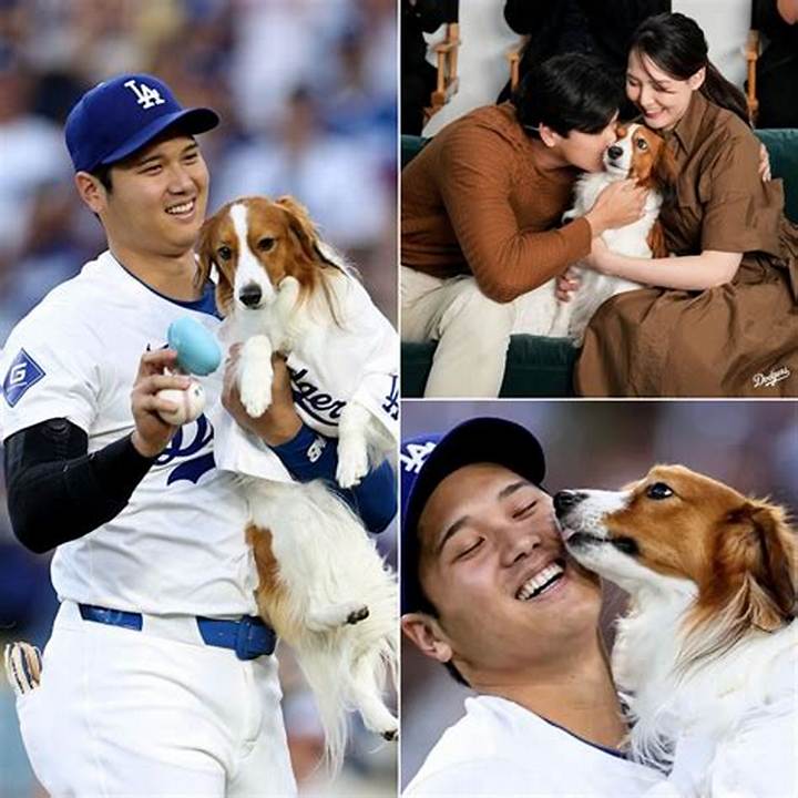 狩野舞子と大谷翔平キス疑惑の真相：噂・匂わせ・現在を徹底解説