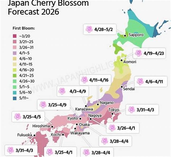 京都の花火2026年今日の開催情報とツイッターでリアルタイム確認する方法