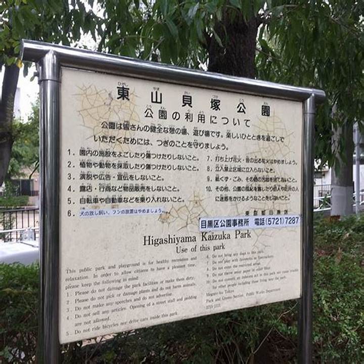 目黒・東山エリアの住宅「3号棟」を読む——暮らし目線の見どころ