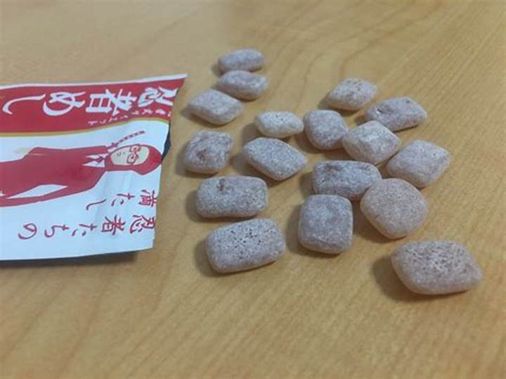 忍者めし「梅かつお」徹底ガイド：作り方、食べ方、保存とコツ