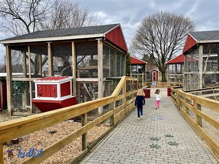 Randall Oaks Petting Zoo in West Dundee, Il: the Practical Family Guide