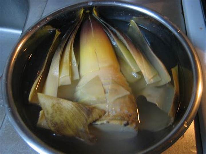 たけのこ 水煮下処理の基本手順：えぐみ・あく抜き・保存まで