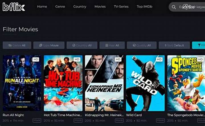 The Movies Flix とは？特徴・使い方・注意点を徹底解説