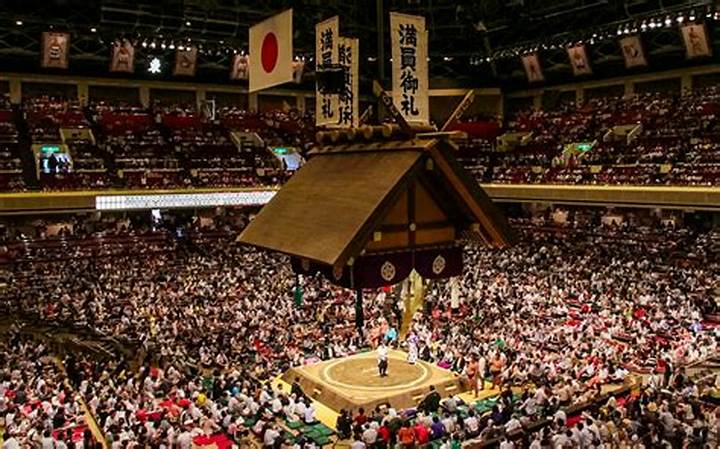 今日の大相撲を彩る有名人観戦者たち——その魅力と注目の理由