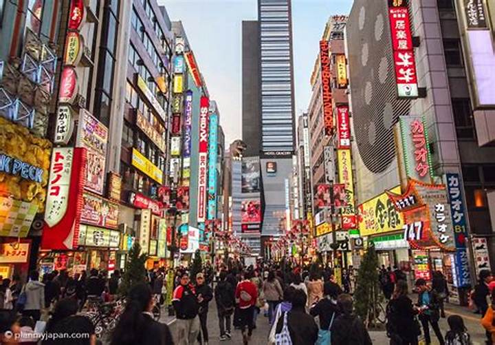 ビデオDeはんど新宿とは？歌舞伎町エリアの店舗・特徴・アクセスを徹底解説