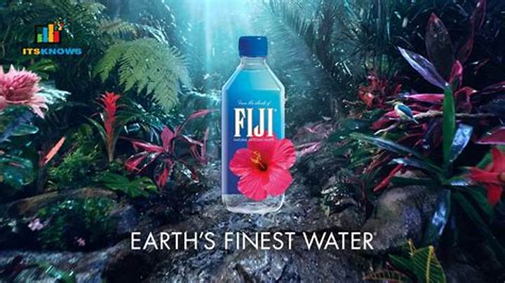 Who Owns Fiji Water? the Wonderful Company, Explained
