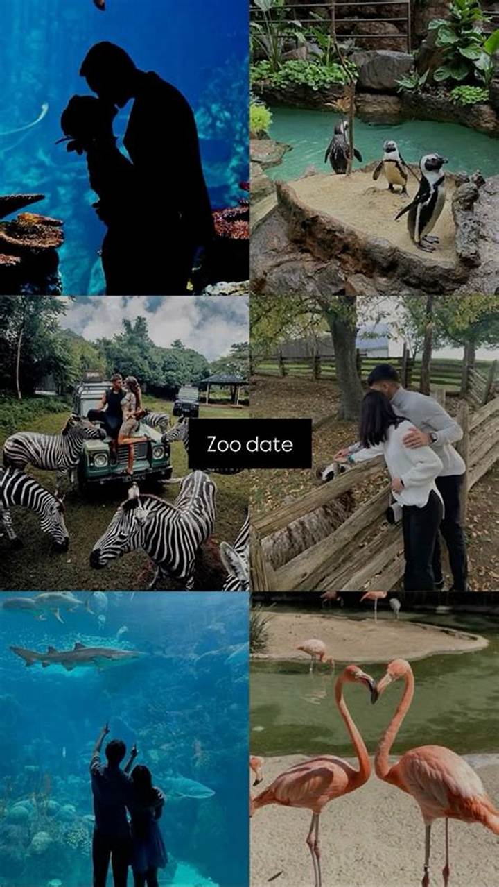 付き合う前の動物園デートで距離を縮める完全ガイド